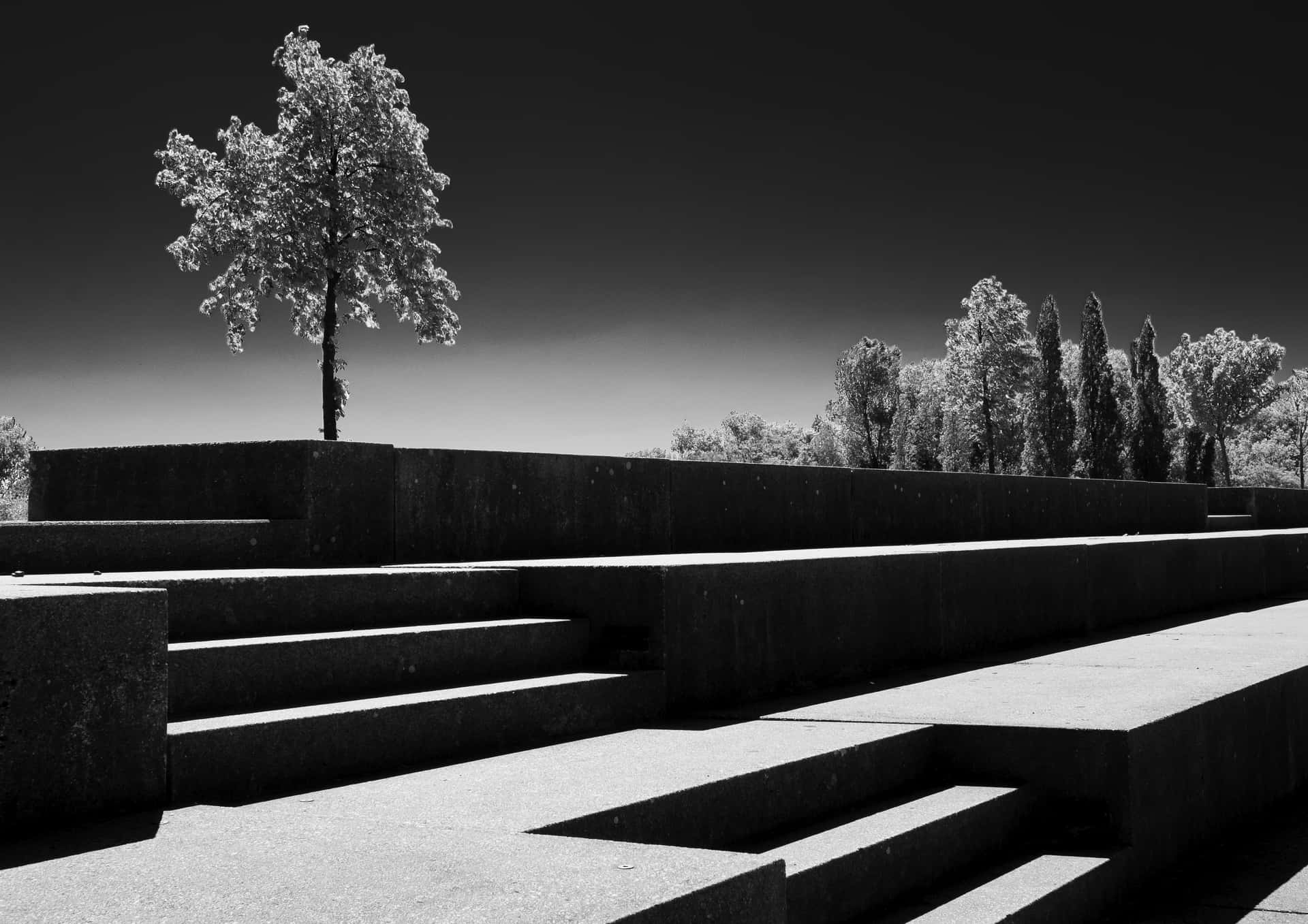 Avatar des Mitglieds