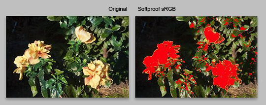 Bild 4: Softproof, Bild im AdobeRGB-Farbraum mit Clipping-Warnung für die Transformation nach sRGB.